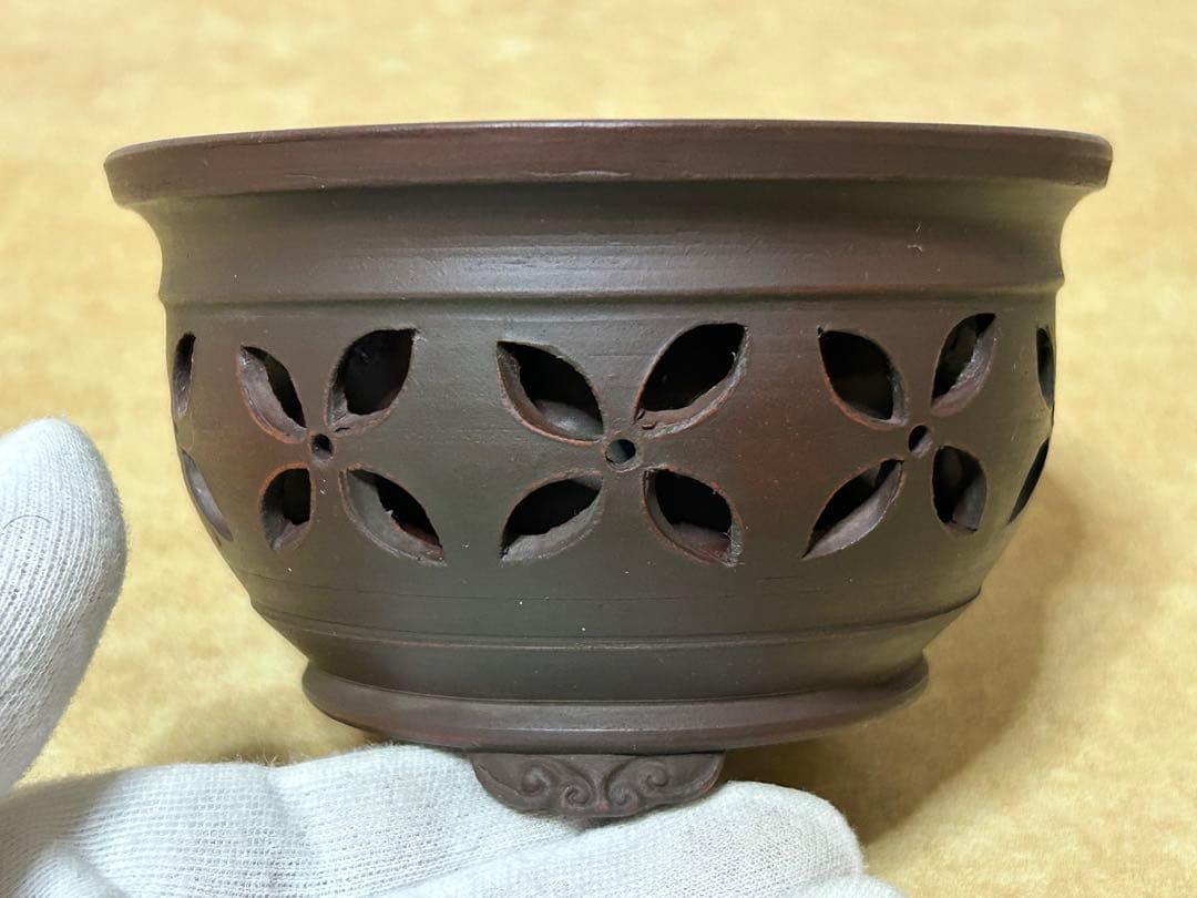 美芸　盆栽鉢　小品盆栽　山野草