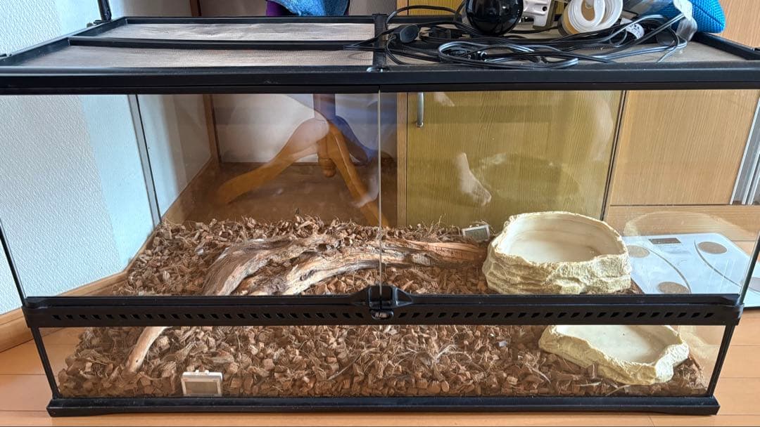エキゾテラガラスケージ 90×45×45＋ ライト、パネルヒーター流木 餌皿