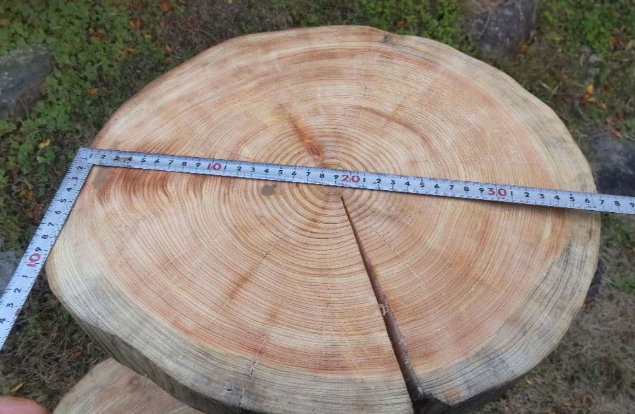 キャットタワー