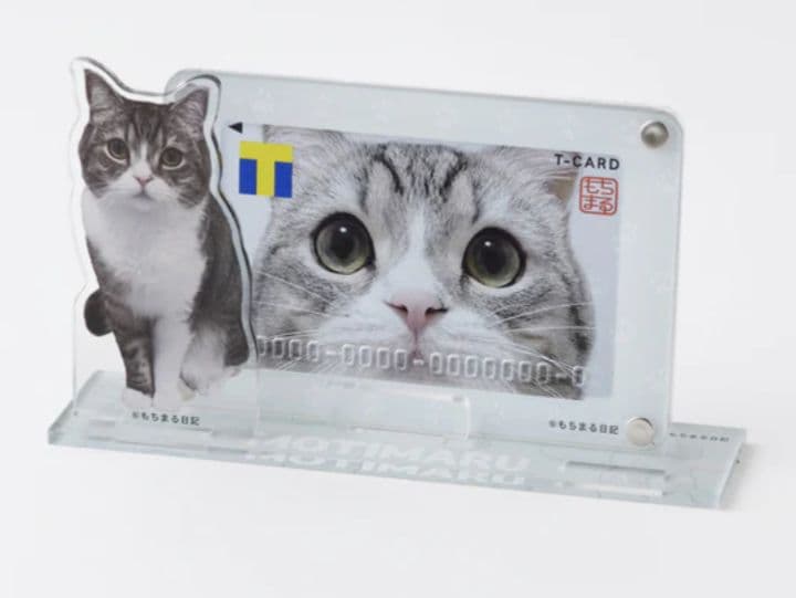 もちまる日記　もち様　アクリルスタンド　カードスタンド　202307052333