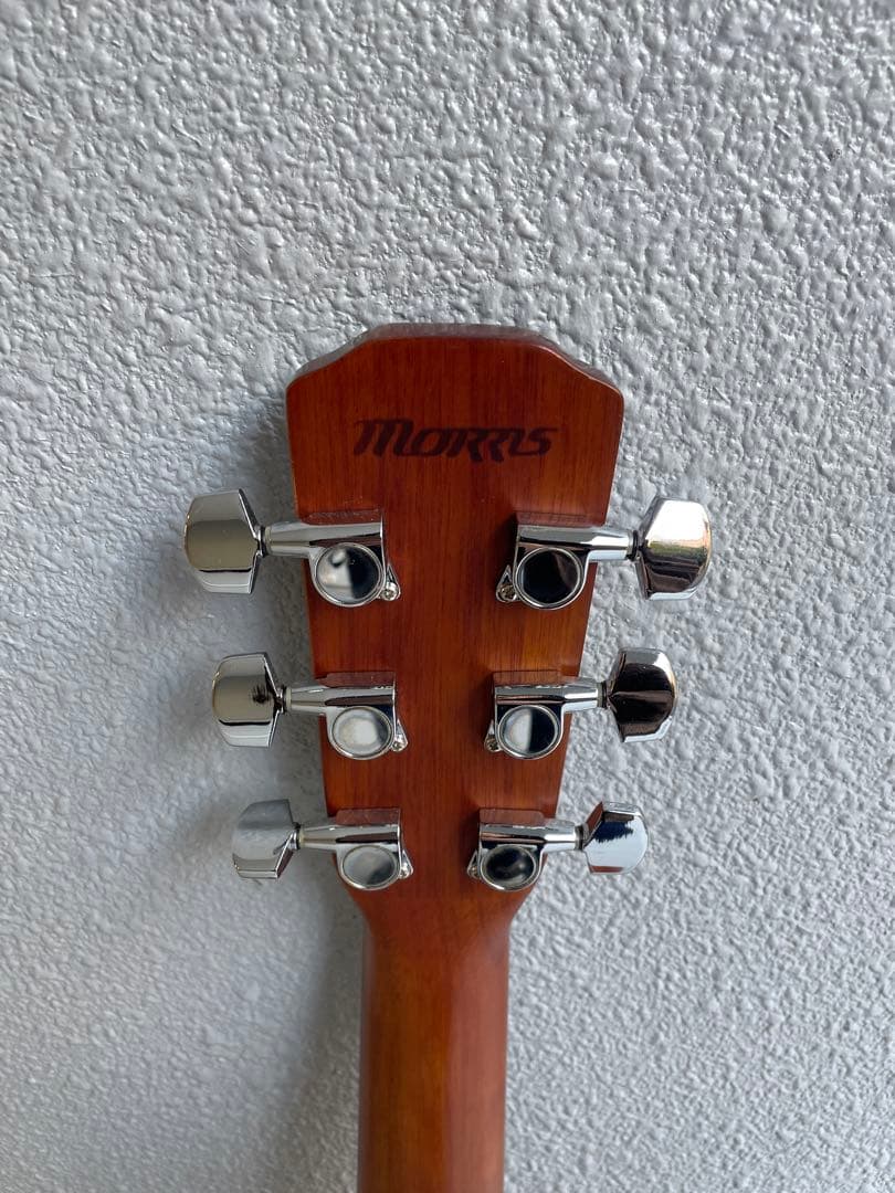 Morris(モーリス) / F-25 TS - アコーステックギター