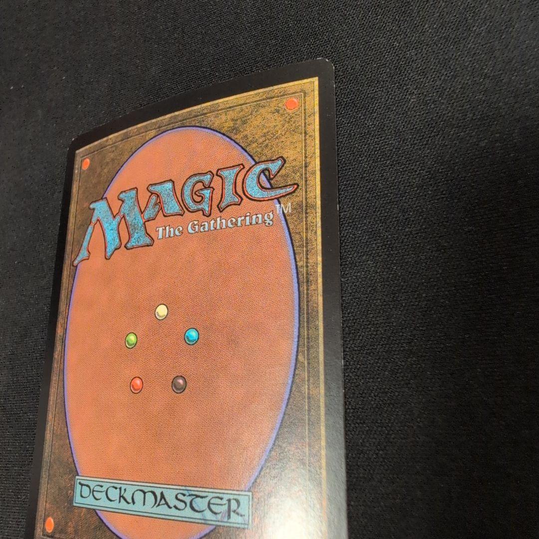 cutreaderMTG カープルーザンの森 10ED Foil 日本語版