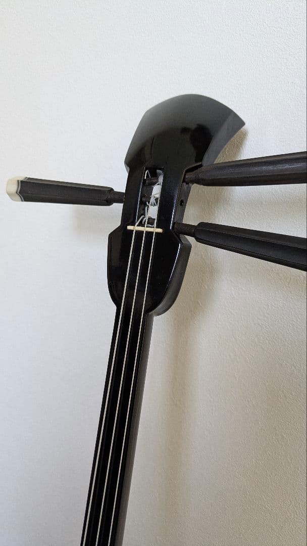 三線本体 ヘビ革模様 ケース付き