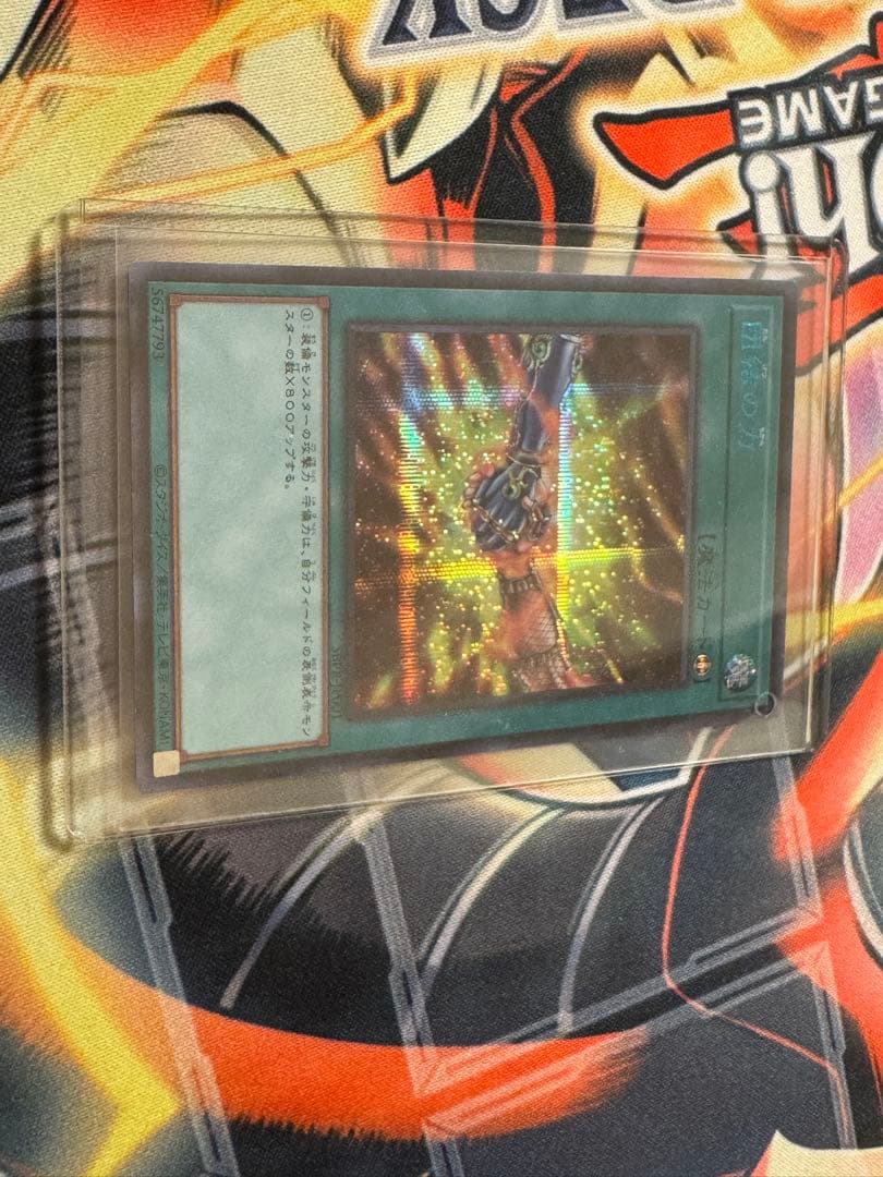 団結の力 ブルシク 遊戯王