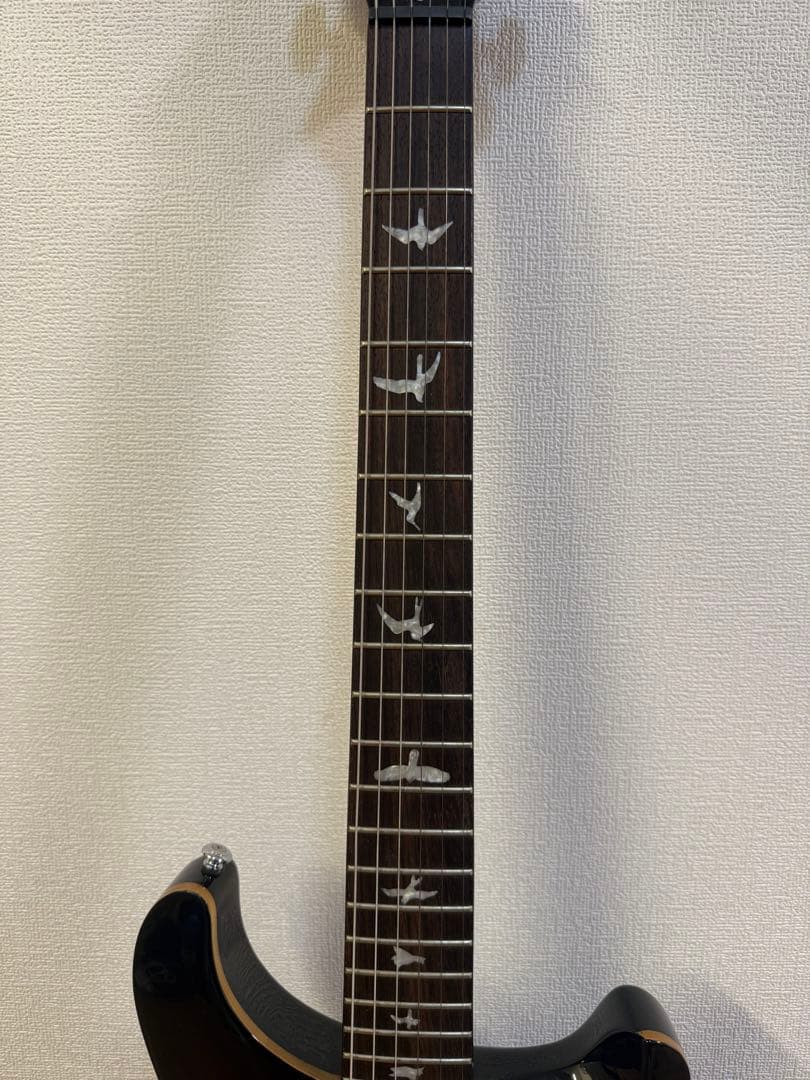 PRS(Paul Reed Smith) se custom24 (付属品多数)