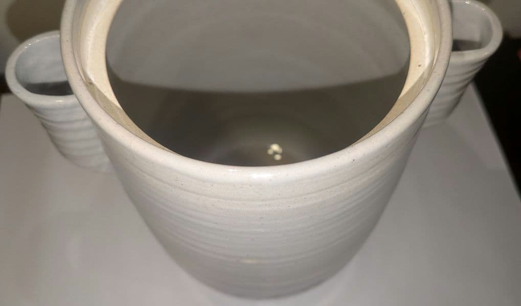 『陽炎園』月に雁絵　耳付き水指　細水指　膳所焼　茶道具　共箱共布　秋月見