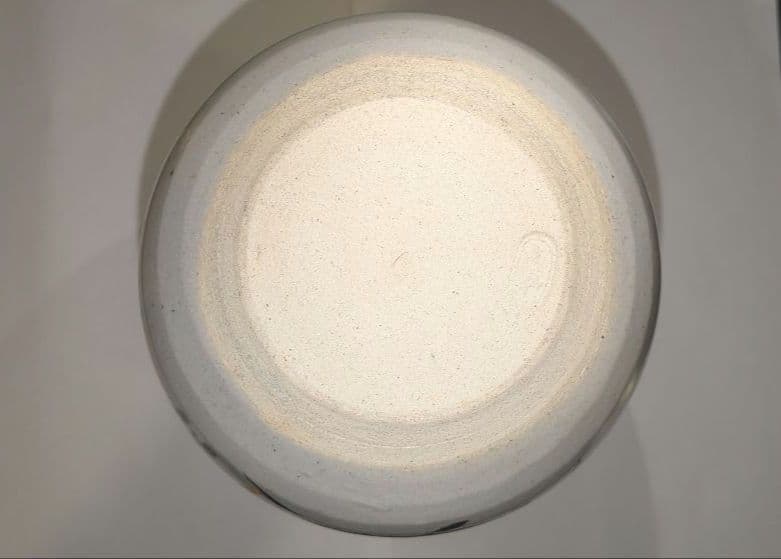 『陽炎園』月に雁絵　耳付き水指　細水指　膳所焼　茶道具　共箱共布　秋月見