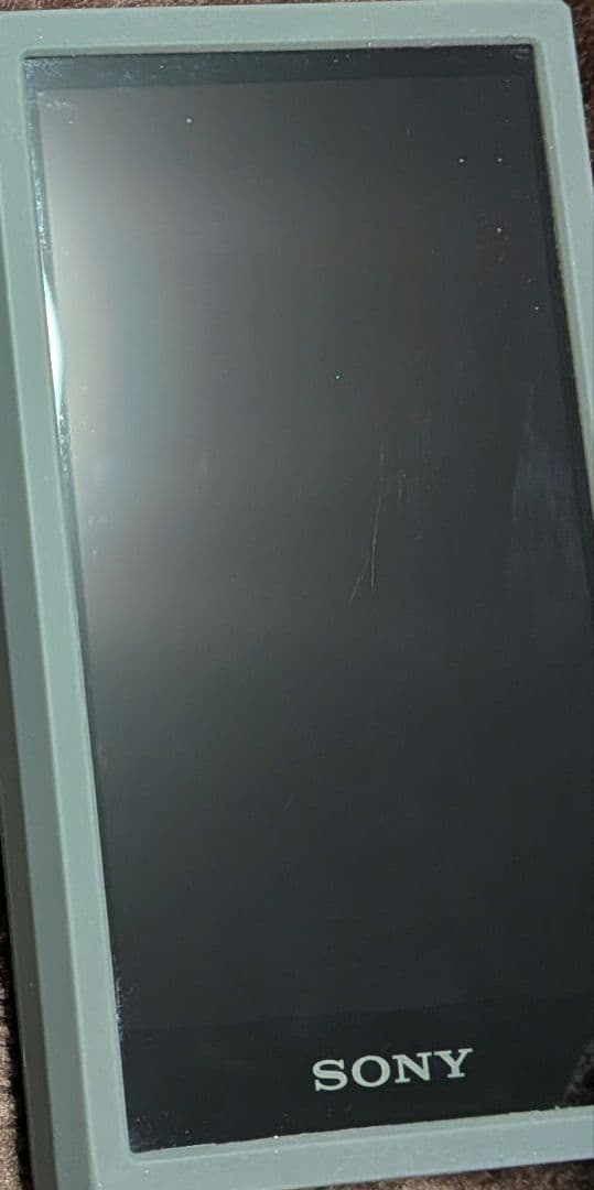 ウォークマン 32GB A300シリーズ NW-A306