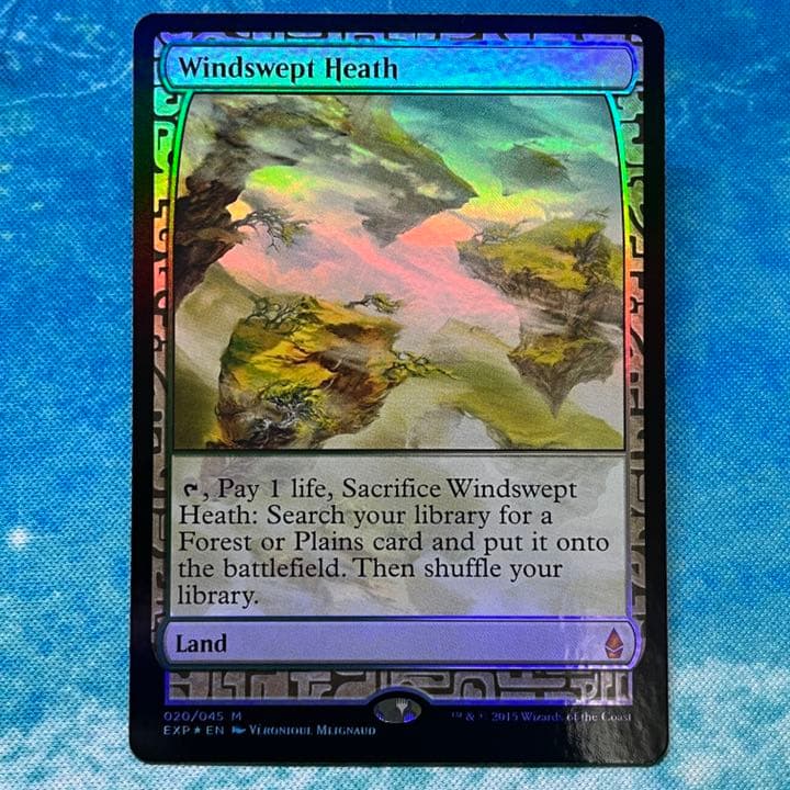 MTG 英語版 foil EXP 吹きさらしの荒野