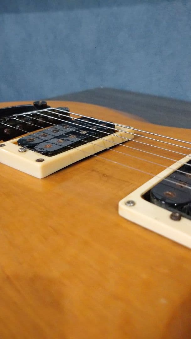 ギター LTD VB-300