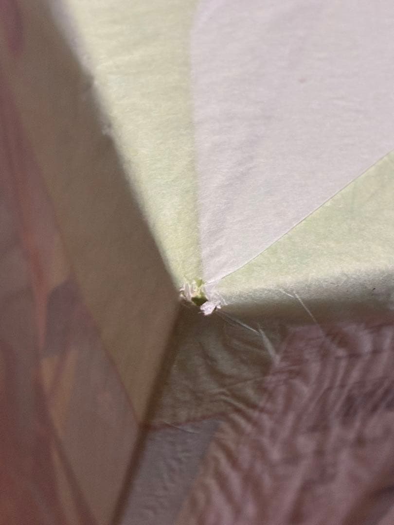 【新品・未開封】ホロライブ 風真いろは 1/7スケールフィギュア