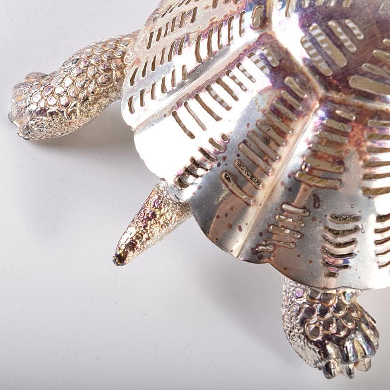 aki　クリストフル　リュミエールダルジャン　亀　M　R7838