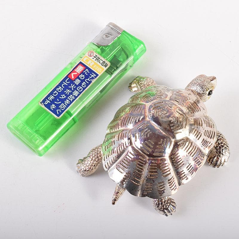 aki　クリストフル　リュミエールダルジャン　亀　M　R7838