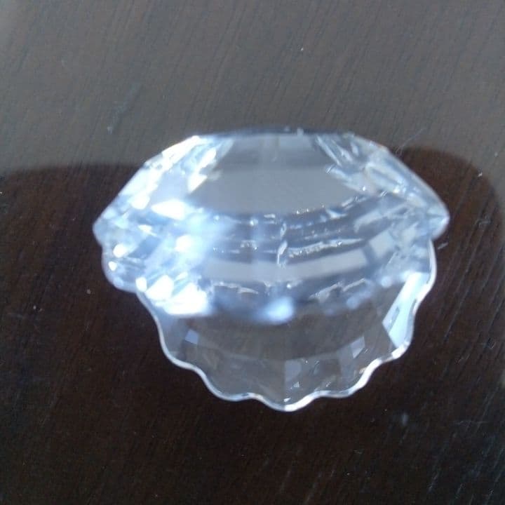 Swarovski クリスタル オープンシェル⭐︎お買い上証明書付き