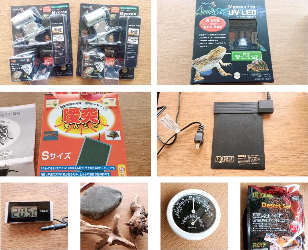 カナヘビ・爬虫類飼育11点セット