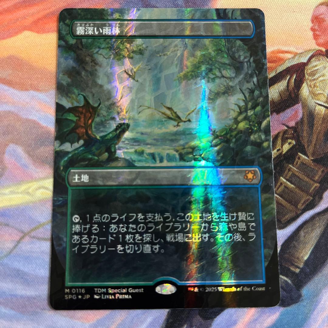 霧深い雨林　ドラゴンスケイルfoil MTG