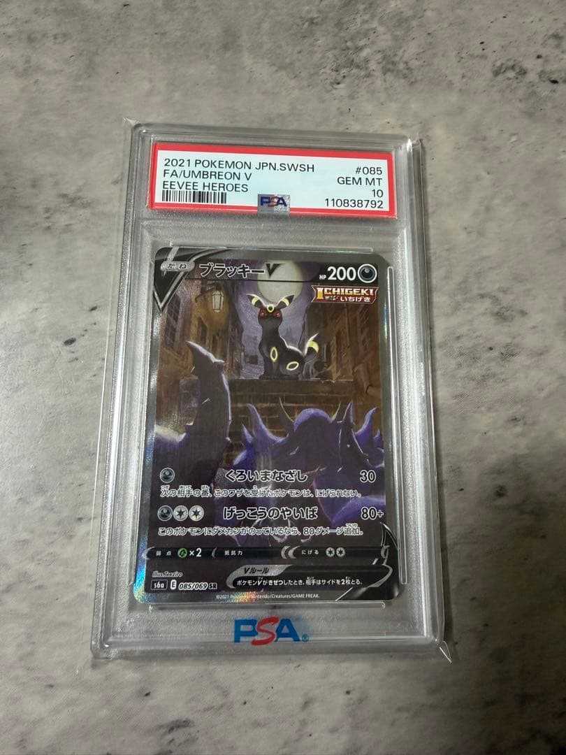 『最安値』PSA10 ブラッキーV ポケカ