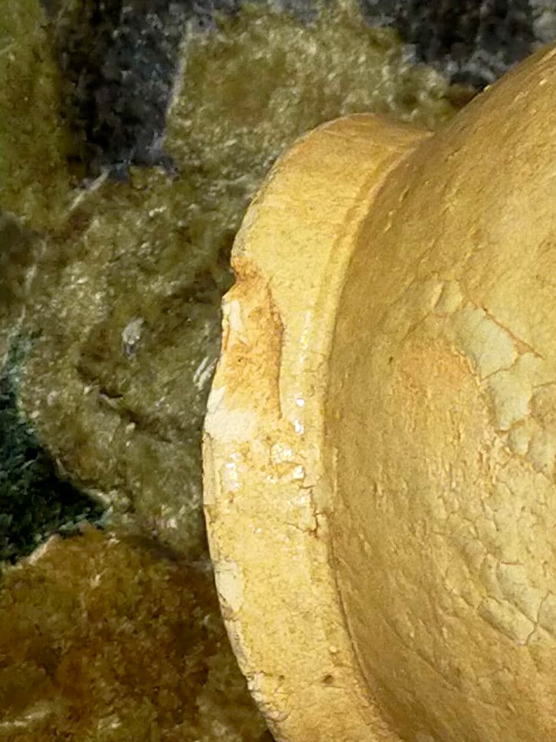 ♥値下げ！中国　白釉　花瓶　発掘品　カケあり　桐箱付き　出土品　骨董　古玩