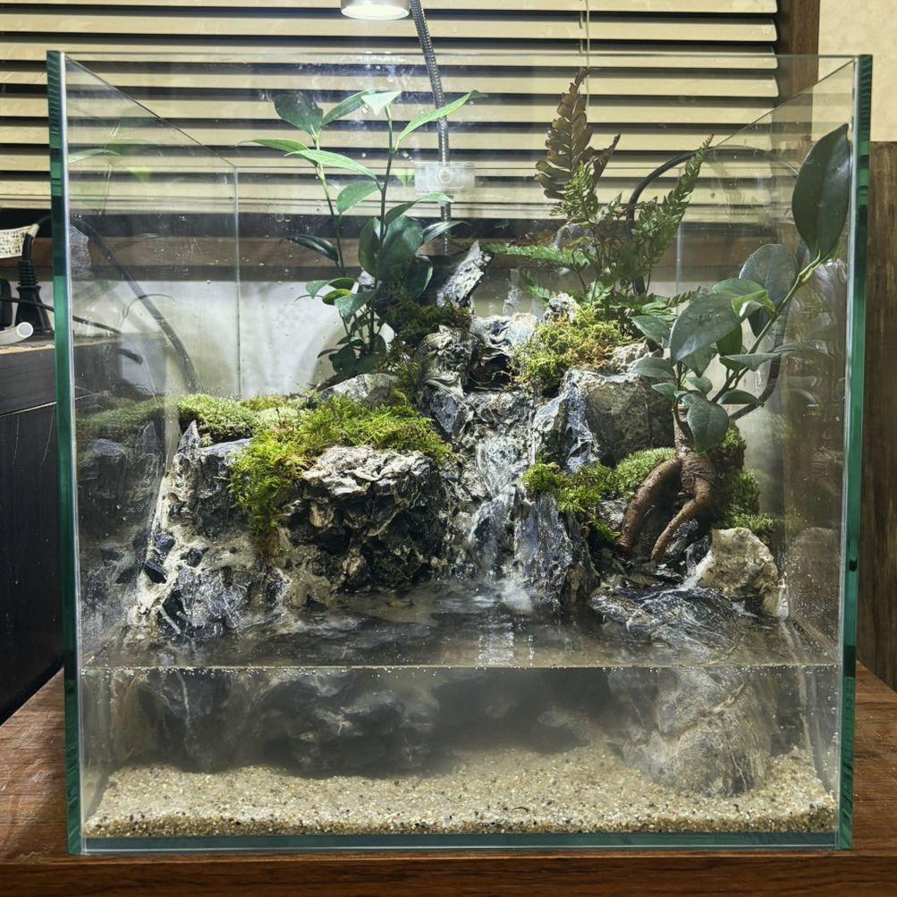 滝の流れるアクアテラリウム　No.1142