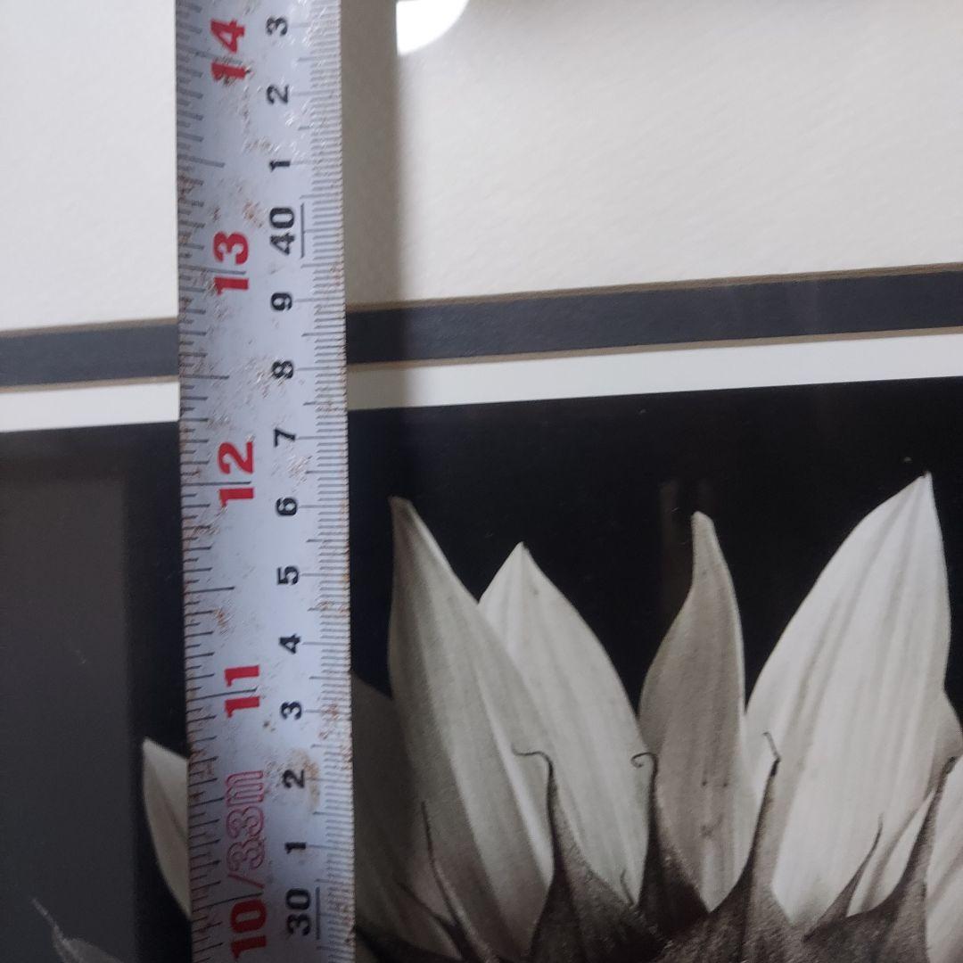 アートフォト作品ひまわり