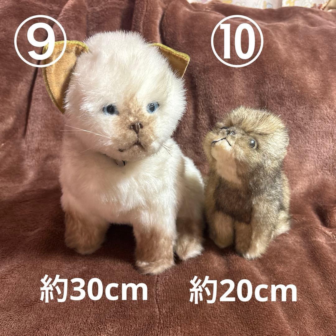 【大量】寝そべりたくさん猫＋αぬいぐるみセット【まとめ売り】