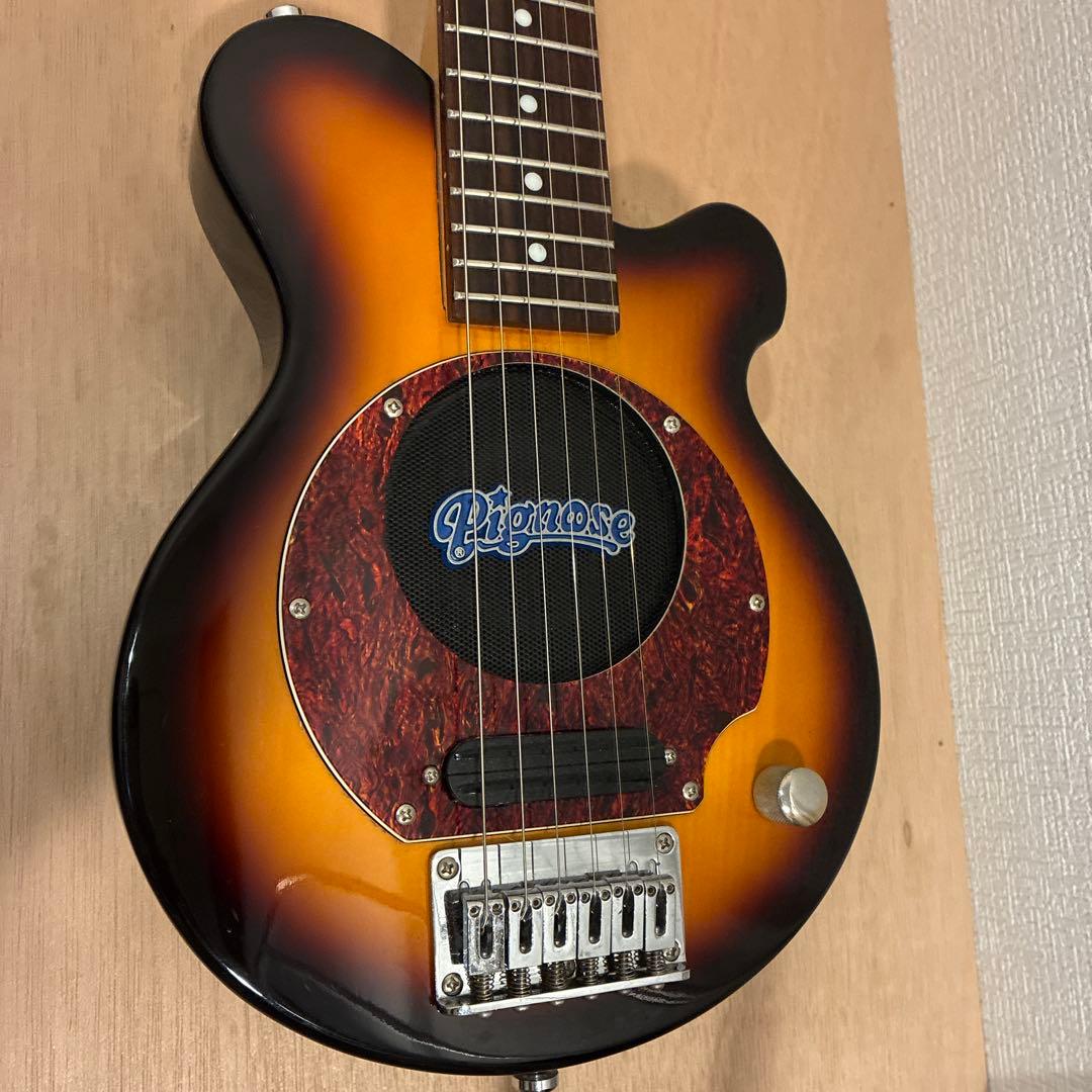 ピグノーズPGG200 サンバースト