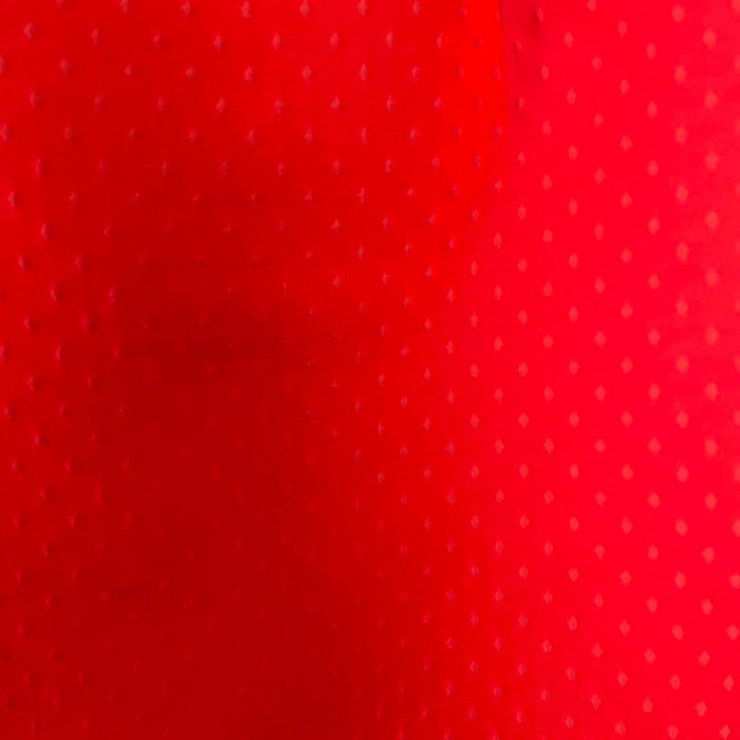 DRIES VAN NOTENスカート