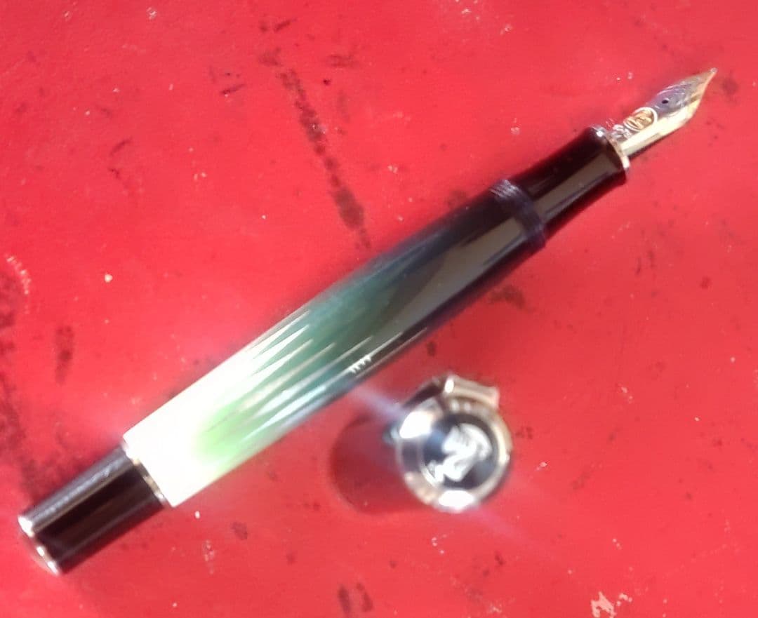 【調整済】ペリカン　自然の美観シリーズ　ポーラーライト　M640 字幅M