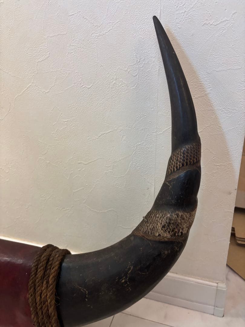 牛の角　約90センチ　龍　オブジェ　飾り　インテリア　水牛