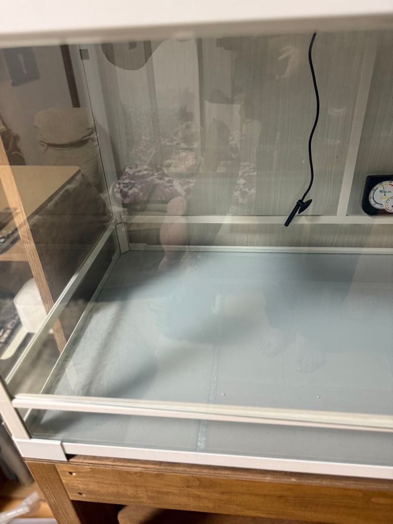 SANKO パンテオンカノンホワイト 　爬虫類 ケージ セット（引き取り限定）