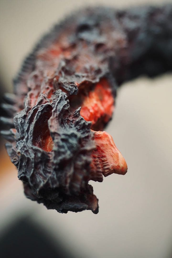 シン・ゴジラ　GODZILLA (2016) 雛型検討用モデルバージョン　塗装済