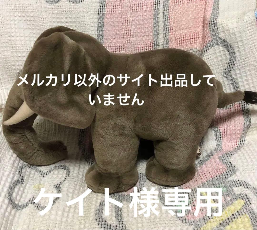 KOSEN ケーセン　象　ぬいぐるみ　中古品