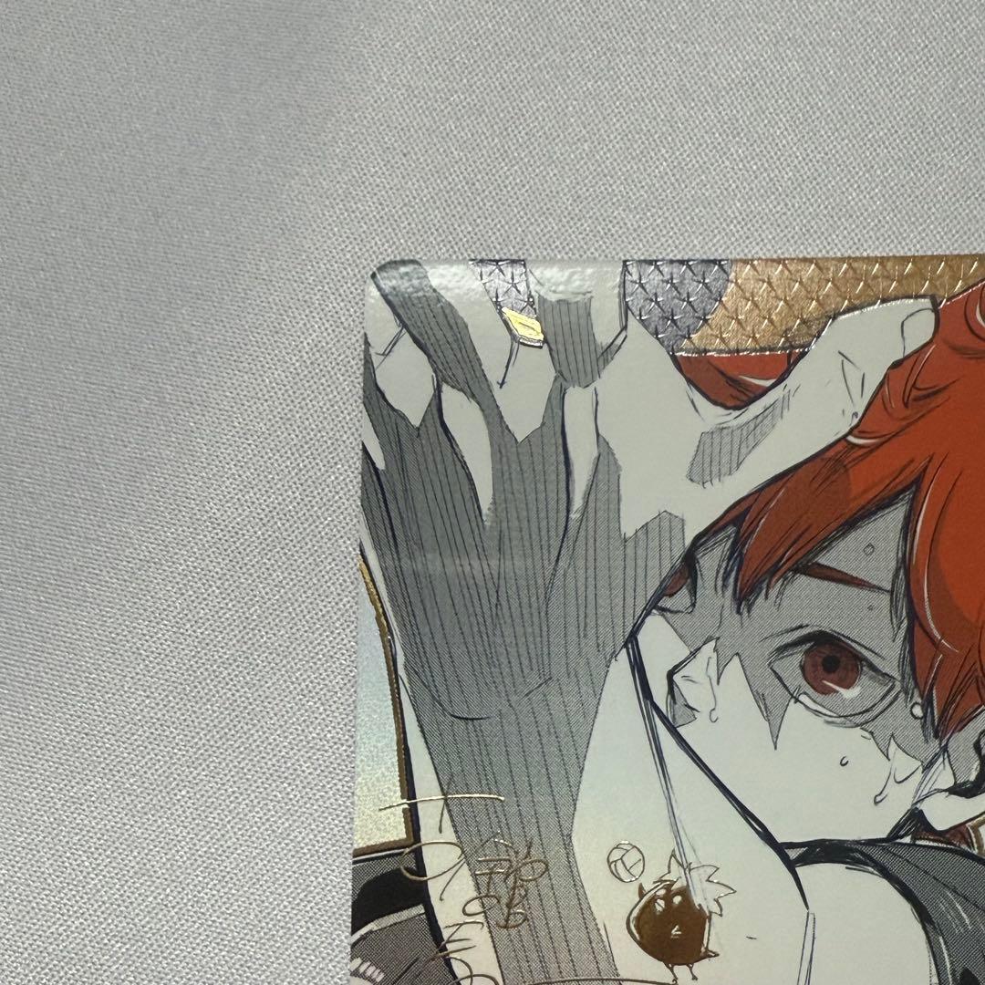 ハイキュー　日向翔陽　極P バボカ 古舘春一サイン