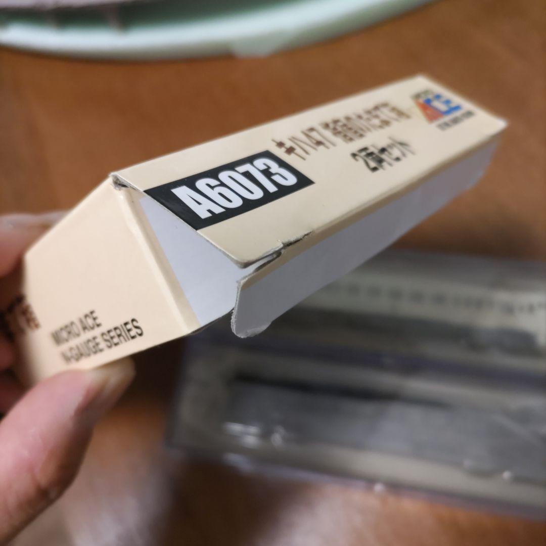 指宿のたまて箱　2両編成