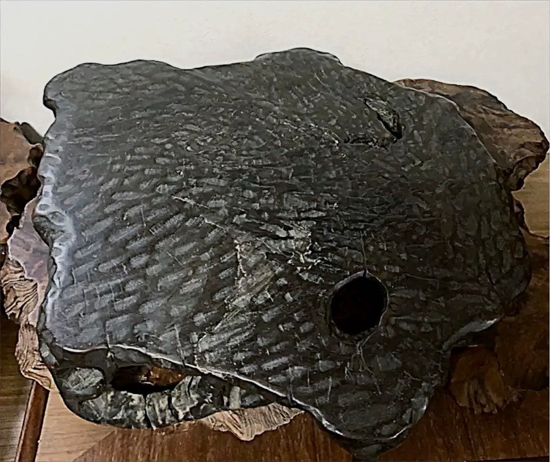 花台 香台 盆栽台 根卓彫り 天然無垢 一刀彫り 44㎝