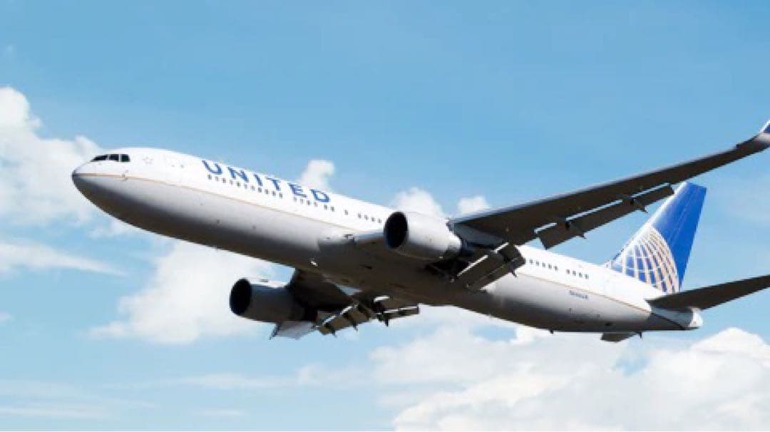 UA ユナイテッド航空 Planetags B767-300ER