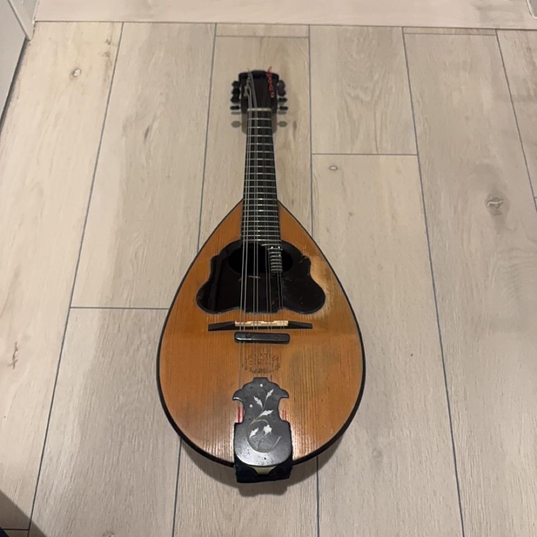 弦楽器 FORNITORI DELLA REAL CASA