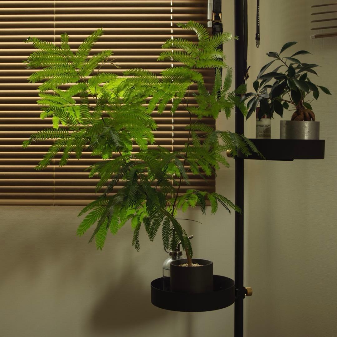 【OH済み】Hasselblad 500C/M 80mm CF T*