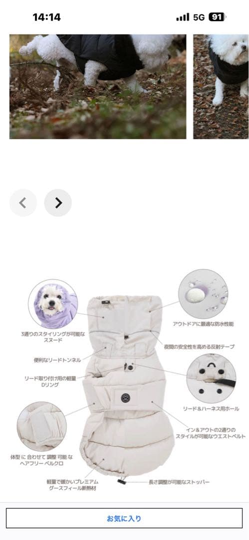 SSSOOK グースフィルダウンマント ブラック　Lサイズ