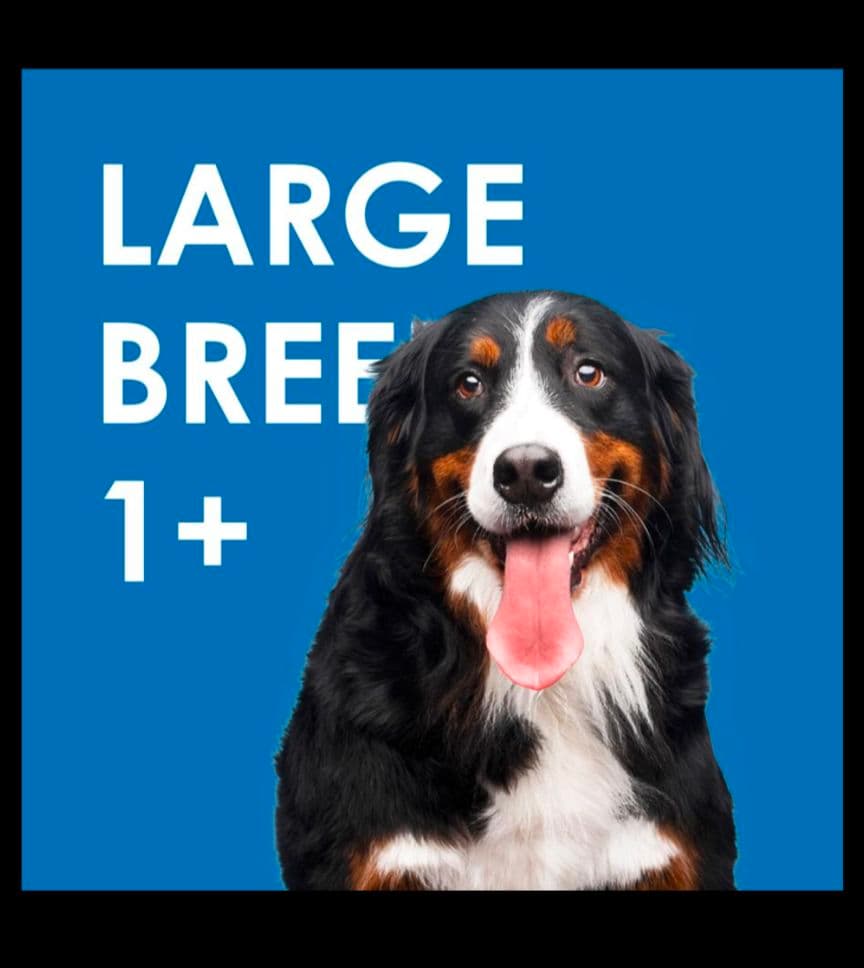 INUMESHI フィースト 1才以上 大型犬用 大粒 15kg ドッグフード