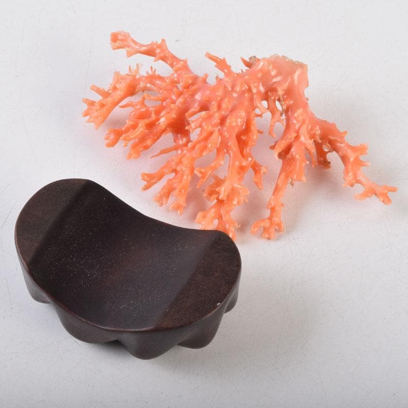 中国　赤珊瑚　サンゴ　置物　唐木台・ケース付　V　9075