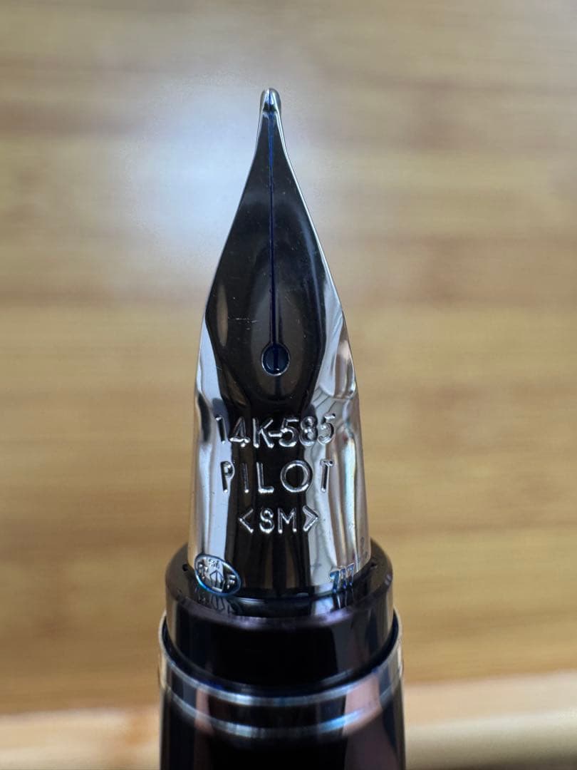 フ*ー様 PILOT 万年筆 エラボー 14Kゴールド 黒