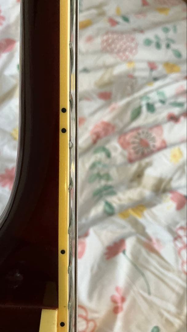 Fujigen FGN NCLS-20R Suhr Aldrichピックアップ