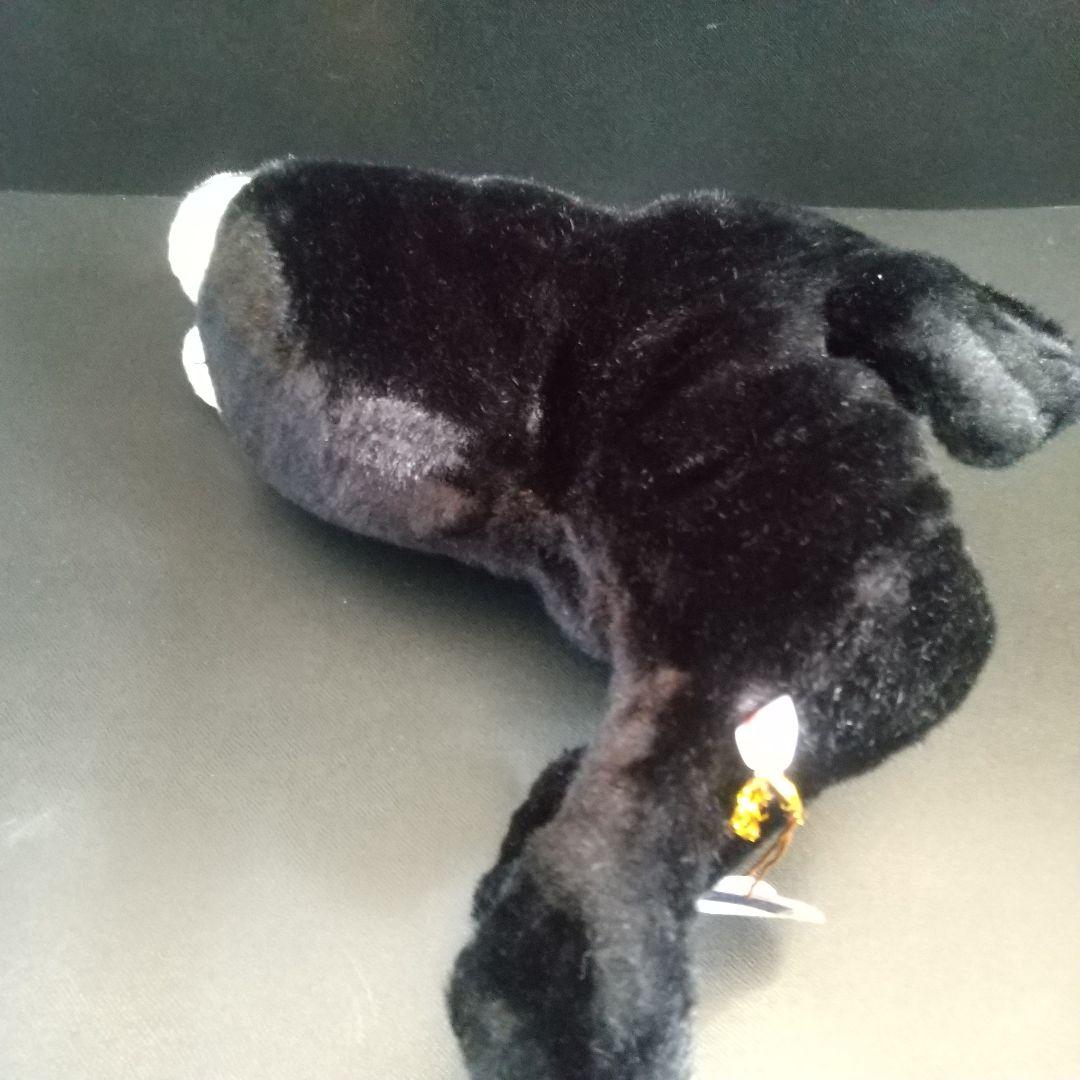 オウオウアシカ