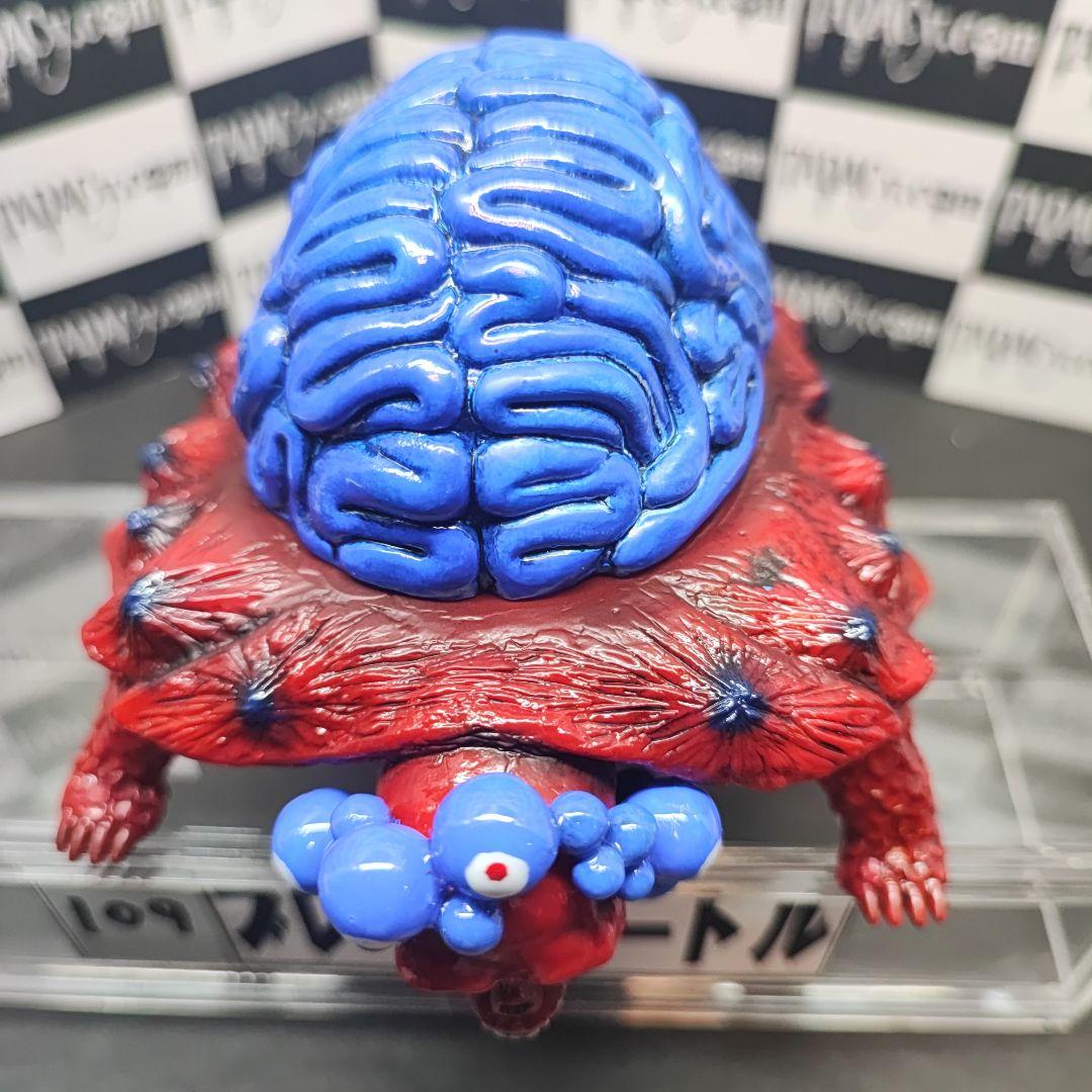 109ブレインタートル