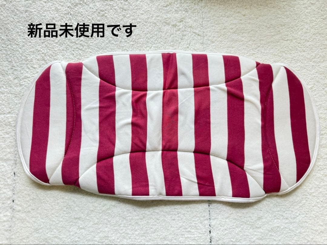 【美品】AIRBUGGY ドーム3 ラージサイズ ペットカート　別売品5点付