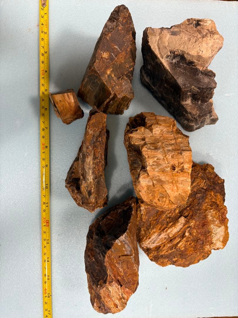 木化石　7個4.3kg（天然石 茶系色 不規則な形状）