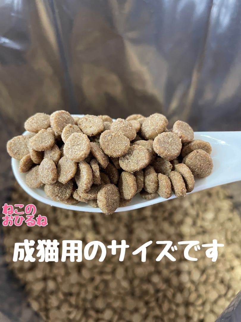ニュートロシュプレモ　子猫用　（チキン&サーモン）　3kgパック