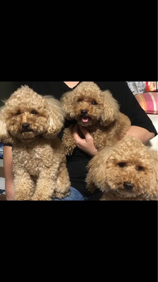 miniさま  確認用　その②