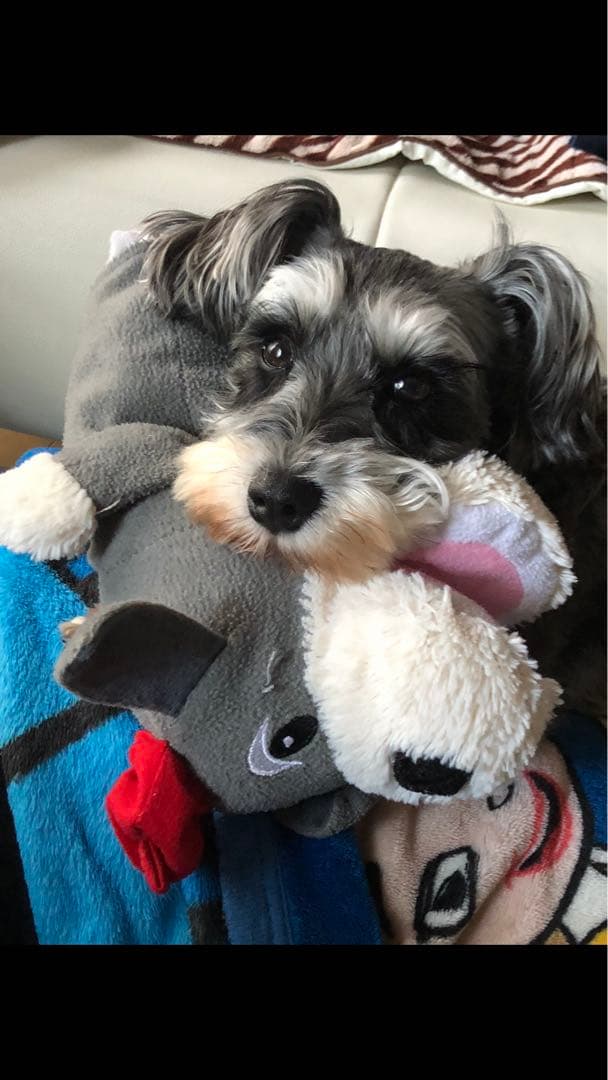 miniさま  確認用　その②